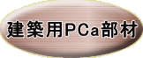 zpPCa 